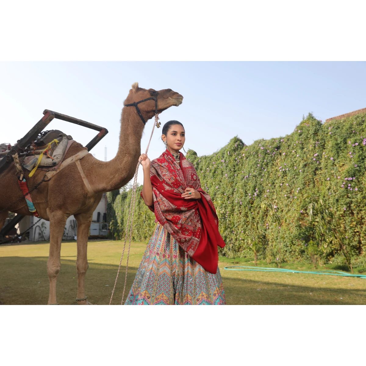Premium Women Zavian 100% Pure Wool Sozni Hand Embroidered Shawl (Size: 101x203 Cm)