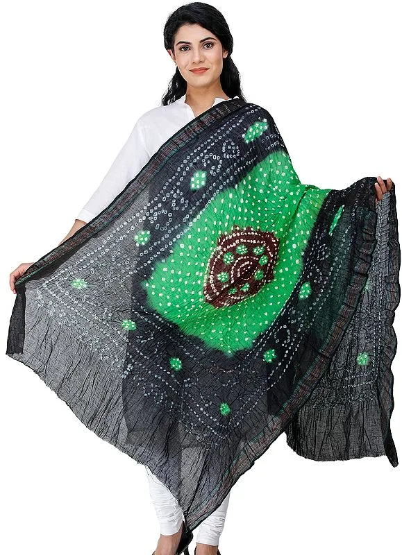 Bandhani Tie and Dye Cotton Dupatta